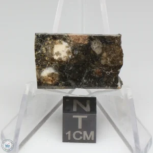 NWA 15656 Eucrite-pmict Meteorite 3.0g