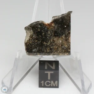 NWA 15656 Eucrite-pmict Meteorite 3.0g