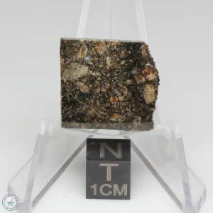 NWA 15656 Eucrite-pmict Meteorite 2.9g