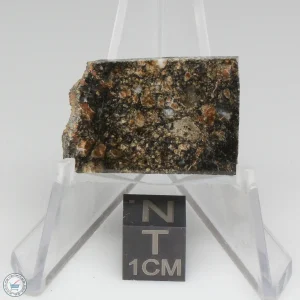 NWA 15656 Eucrite-pmict Meteorite 3.6g