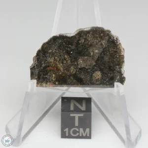 NWA 15656 Eucrite-pmict Meteorite 3.8g