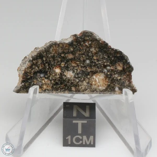 NWA 15656 Eucrite-pmict Meteorite 3.9g