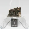 NWA 15656 Eucrite-pmict Meteorite 1.6g