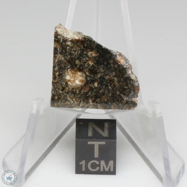 NWA 15656 Eucrite-pmict Meteorite 2.3g