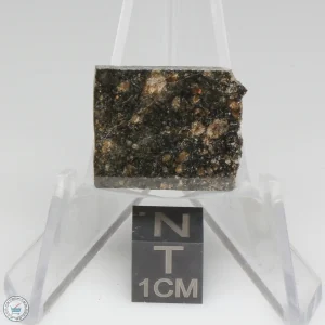 NWA 15656 Eucrite-pmict Meteorite 2.5g