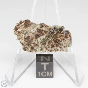 Erg Chech 002 Meteorite 0.75g