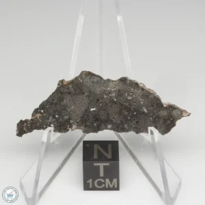 Lahmada 020 Lunar Meteorite 1.61g