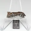 NWA 13790 Winonaite Meteorite 3.4g Slice