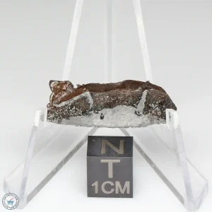 NWA 13790 Winonaite Meteorite 3.4g Slice