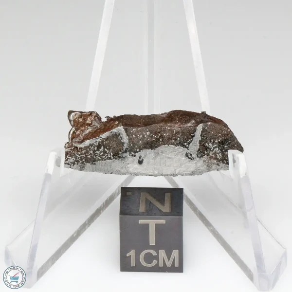 NWA 13790 Winonaite Meteorite 3.4g Slice