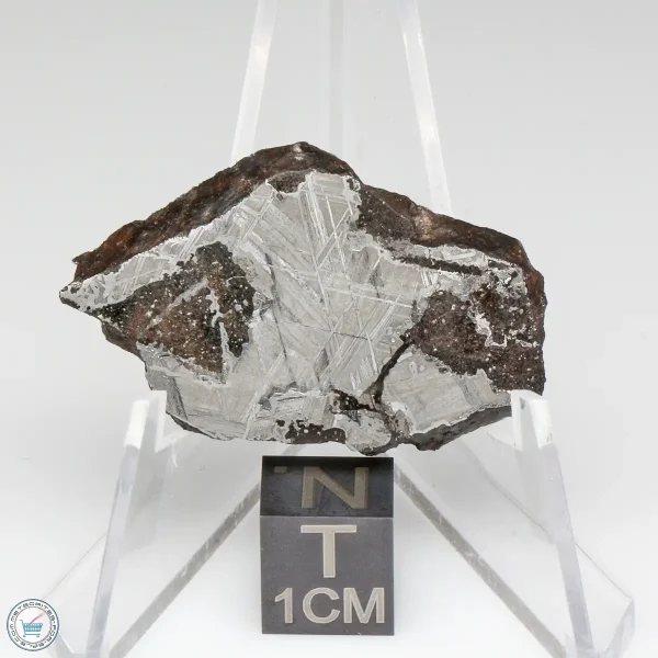NWA 13790 Winonaite Meteorite 12.6g Slice
