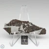 NWA 13790 Winonaite Meteorite 16.7g Slice