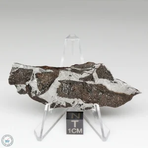 NWA 13790 Winonaite Meteorite 28.2g Slice