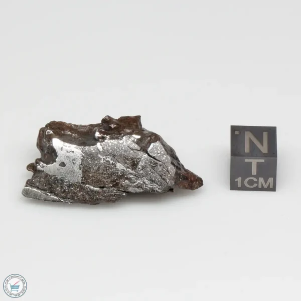 NWA 13790 Winonaite Meteorite 17.2g End Cut