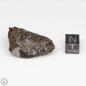 NWA 13790 Winonaite Meteorite 28.1g End Cut