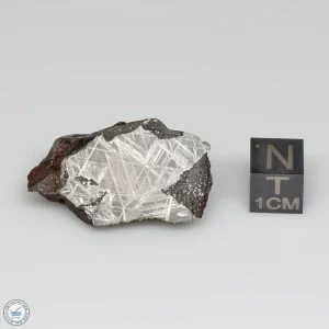 NWA 13790 Winonaite Meteorite 25.8g End Cut