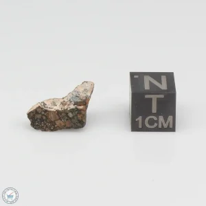 Premium Unclassified Meteorite 1.0g