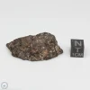 Premium Unclassified Meteorite 15.7g