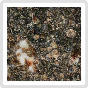 NWA 15656 Eucrite Meteorite