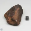 Wiluna H5 Meteorite Museum Specimen 300.24g