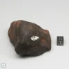 Wiluna H5 Meteorite Museum Specimen 300.24g