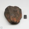 Wiluna H5 Meteorite Museum Specimen 300.24g