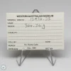 Wiluna H5 Meteorite Museum Specimen 300.24g