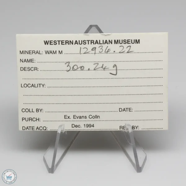 Wiluna H5 Meteorite Museum Specimen 300.24g