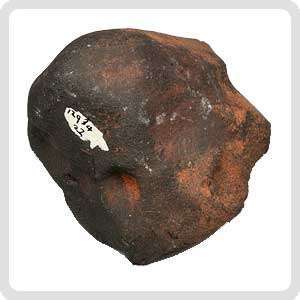 Wiluna H5 Meteorite
