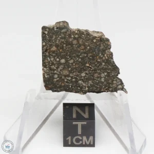 NWA 12322 Meteorite 4.8g