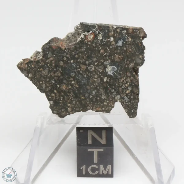 NWA 12322 Meteorite 4.8g