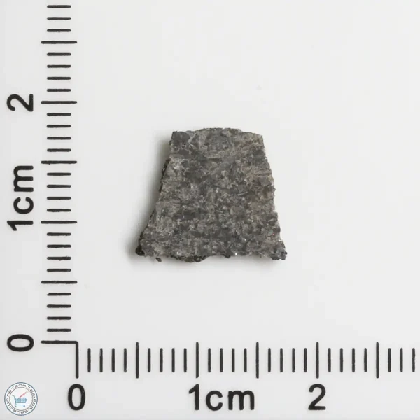 NWA 15016 Martian Meteorite 0.35g
