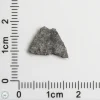 NWA 15016 Martian Meteorite 0.27g