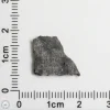 NWA 15016 Martian Meteorite 0.49g