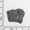 NWA 15016 Martian Meteorite 1.72g