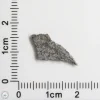 NWA 15016 Martian Meteorite 0.24g