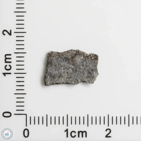 NWA 15016 Martian Meteorite 0.29g