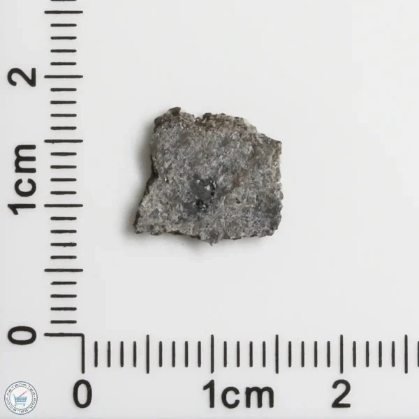 NWA 15016 Martian Meteorite 0.29g