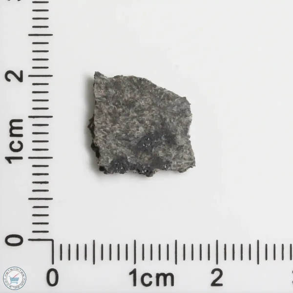 NWA 15016 Martian Meteorite 0.43g