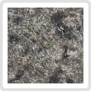 NWA 15016 Martian Meteorite