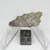 NWA 10401 Lunar Meteorite 1.39g