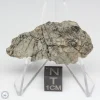 NWA 10401 Lunar Meteorite 7.81g