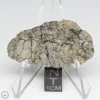 NWA 10401 Lunar Meteorite 8.68g