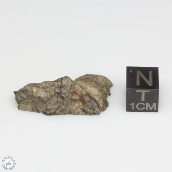 NWA 10401 Lunar Meteorite 4.04g End Cut