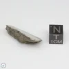 NWA 10401 Lunar Meteorite 4.04g End Cut