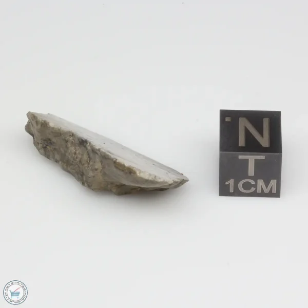 NWA 10401 Lunar Meteorite 4.04g End Cut