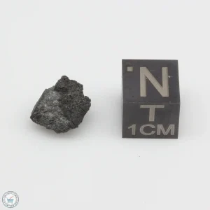 NWA 12925 Meteorite 0.93g