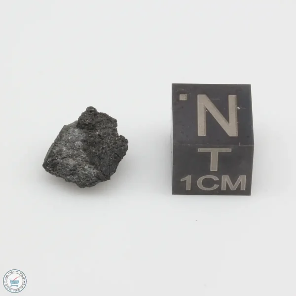 NWA 12925 Meteorite 0.93g