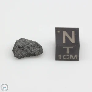 NWA 12925 Meteorite 1.09g