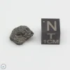 NWA 12925 Meteorite 1.15g